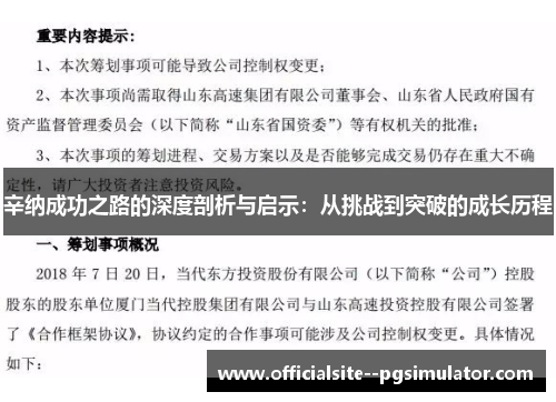 辛纳成功之路的深度剖析与启示：从挑战到突破的成长历程