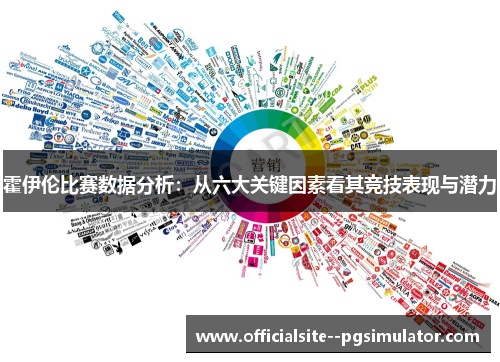 霍伊伦比赛数据分析：从六大关键因素看其竞技表现与潜力