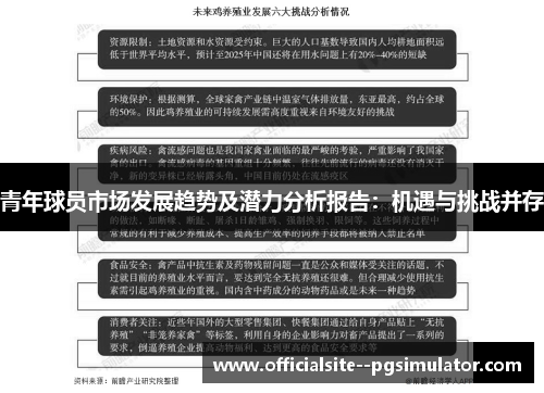 青年球员市场发展趋势及潜力分析报告：机遇与挑战并存