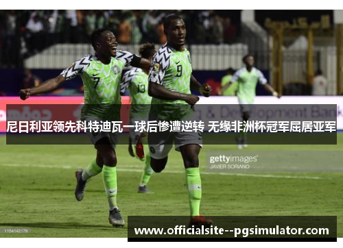 尼日利亚领先科特迪瓦一球后惨遭逆转 无缘非洲杯冠军屈居亚军
