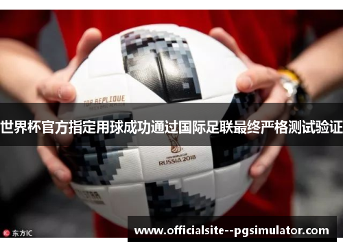 世界杯官方指定用球成功通过国际足联最终严格测试验证